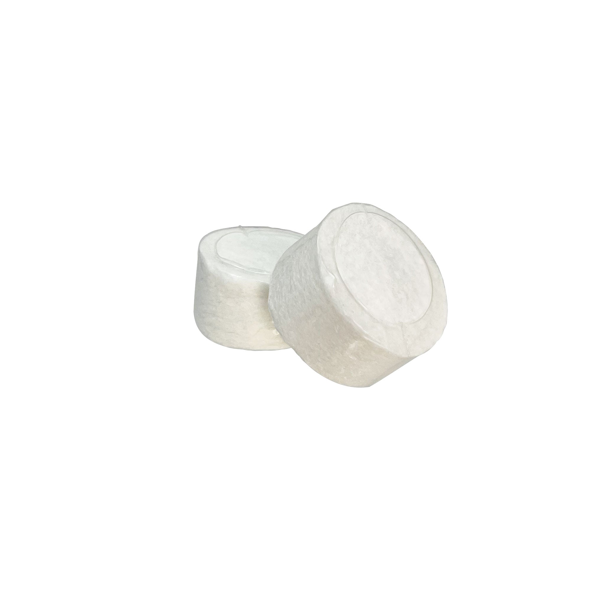 Leak Detector Spare SPONGES (2 pack) - works with PT-LD2 and PT-LD3